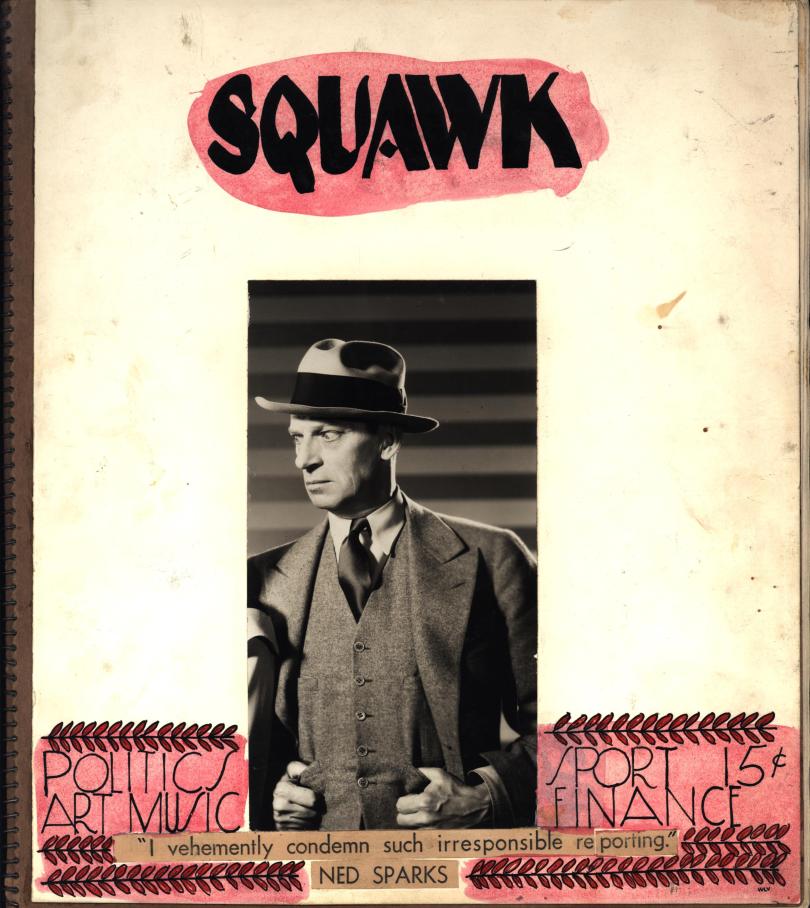 Squawk cover